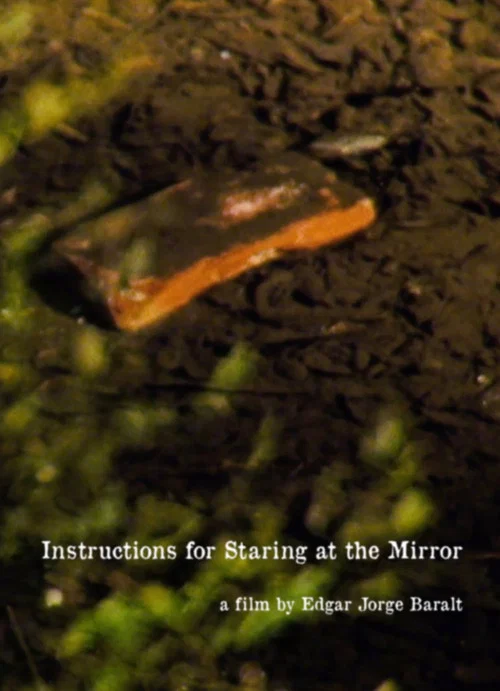 Instructions for Staring at the Mirror постер