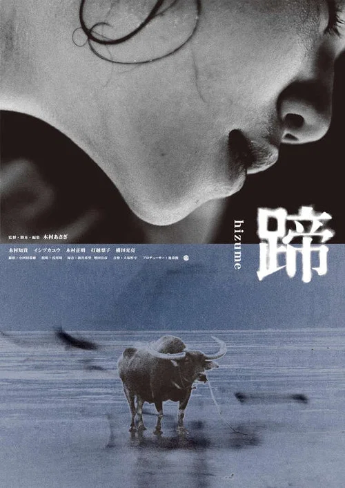 蹄 постер