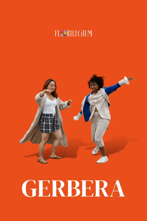 Gerbera постер