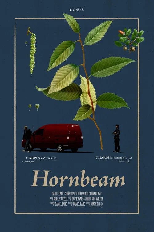 Hornbeam постер