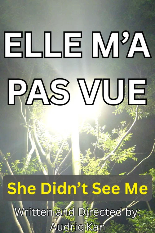 Elle M'a Pas Vue постер