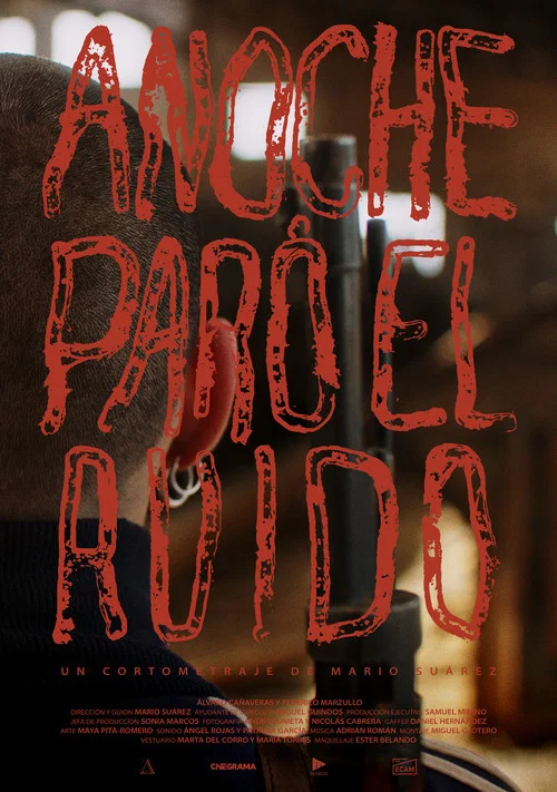 Anoche paró el ruido постер