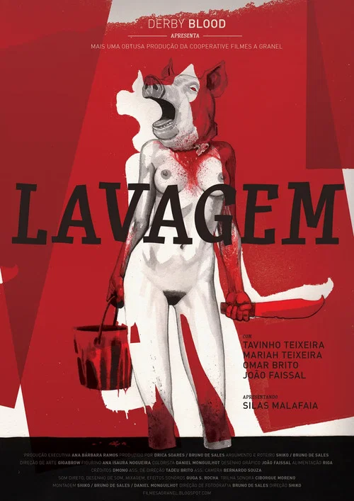 Lavagem постер