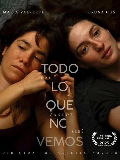 Todo lo que no vemos постер