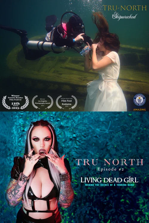 Tru North постер