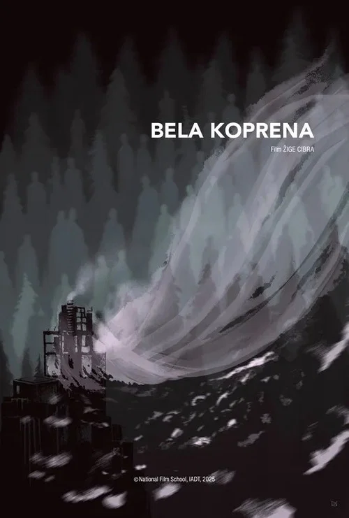 Bela koprena постер