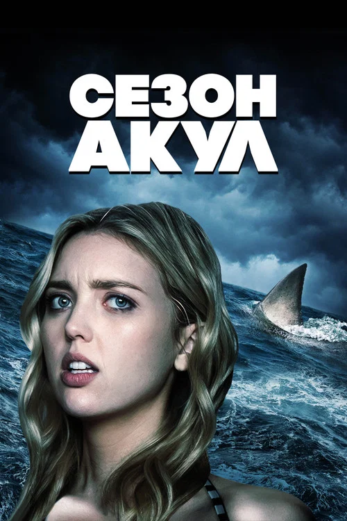 Сезон акул постер