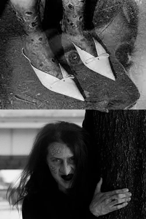 The Pointy Slippers постер