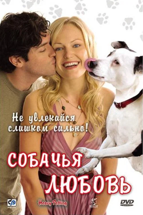 Собачья любовь постер