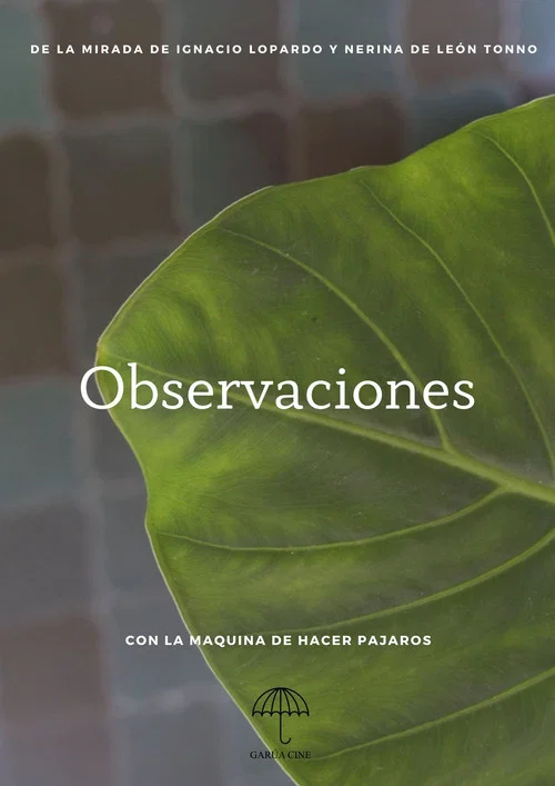 Observaciones постер