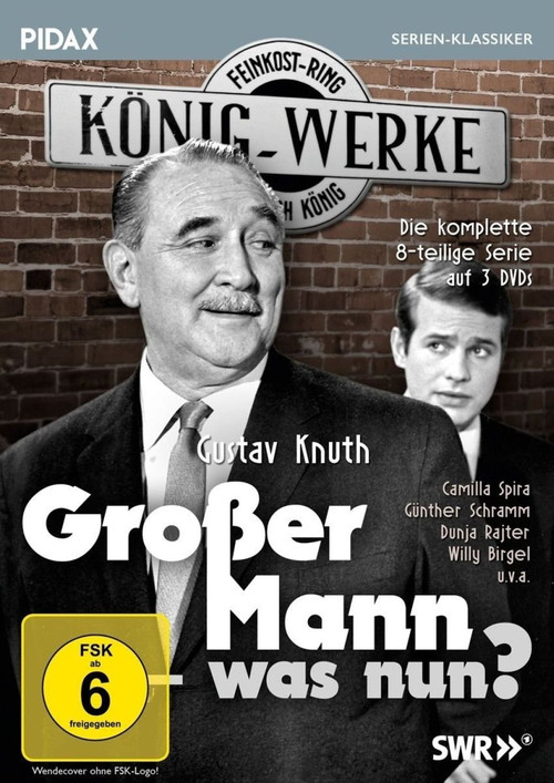 Großer Mann, was nun? постер