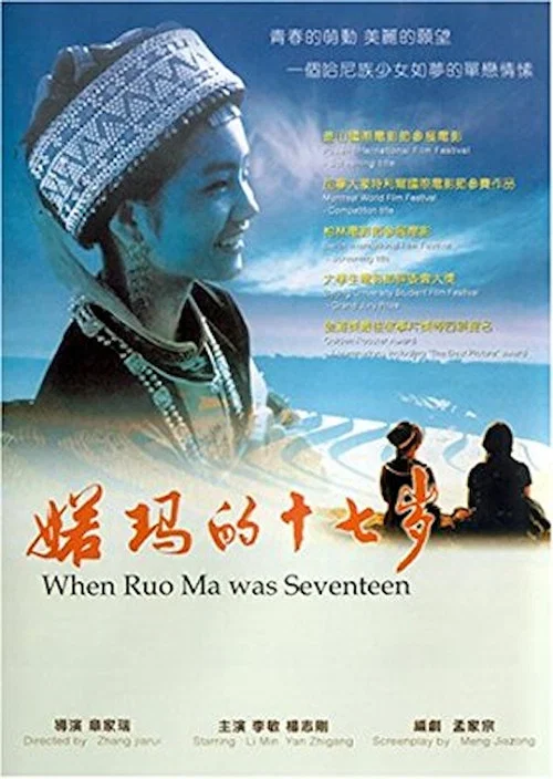 婼玛的十七岁 постер
