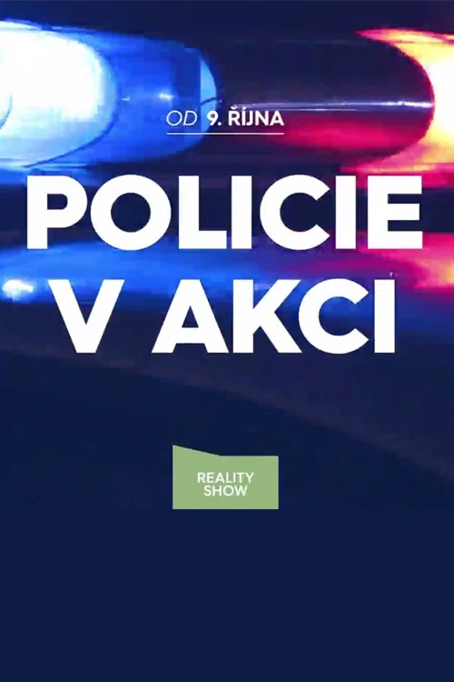 Policie v akci постер