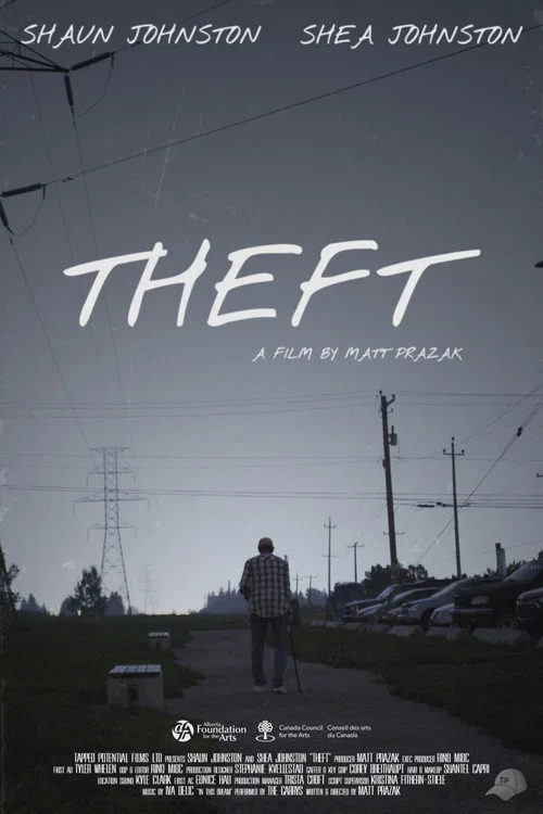 Theft постер