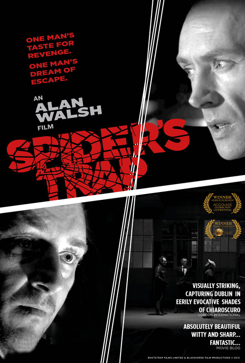 Spiders Trap постер