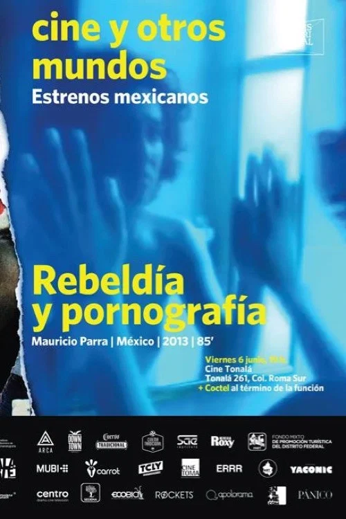 Rebeldía y pornografía постер