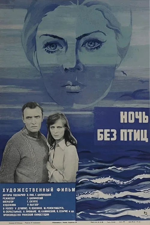 Ночь без птиц постер