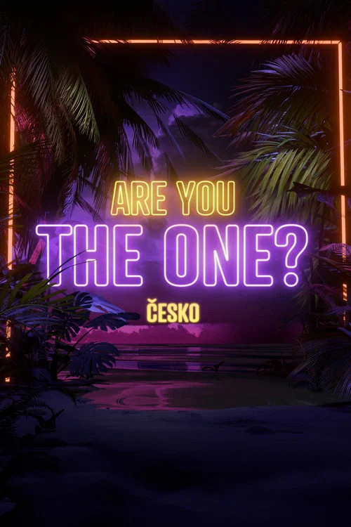 Are you the one? постер