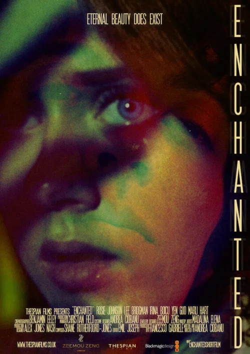 Enchanted постер