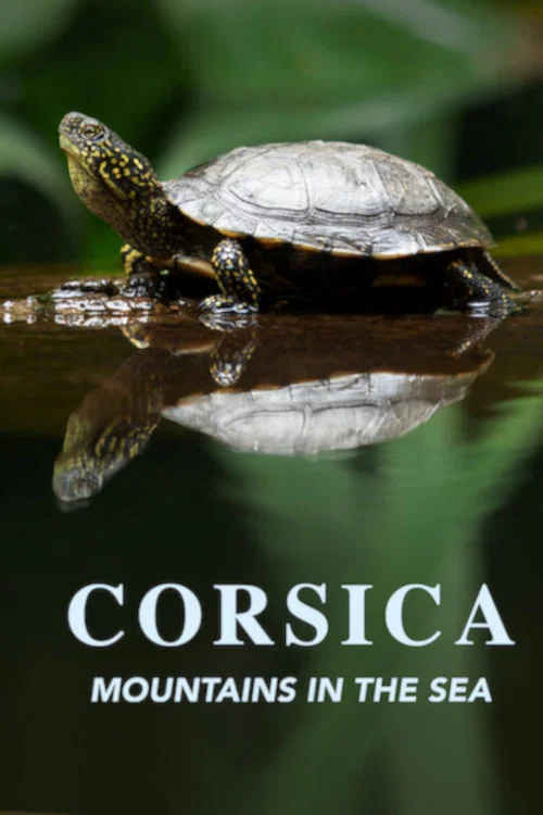 Corsica: Mountains in the Sea постер