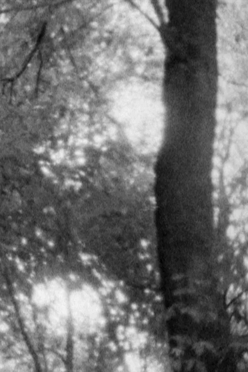 Untitled 1 постер