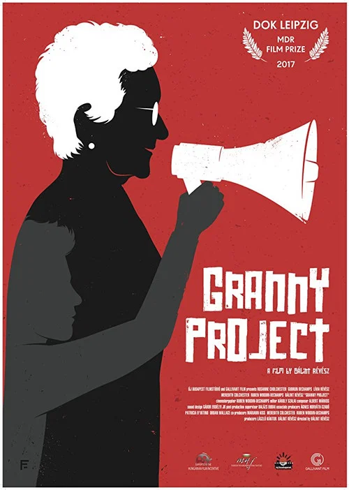 Nagyi projekt постер
