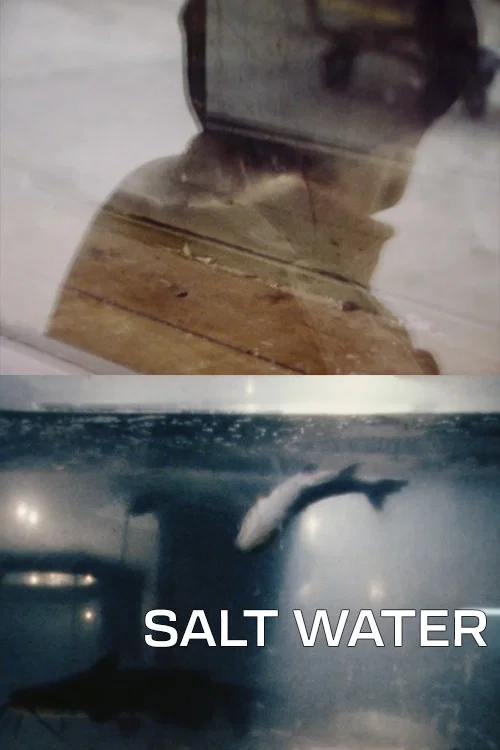 Salt Water постер