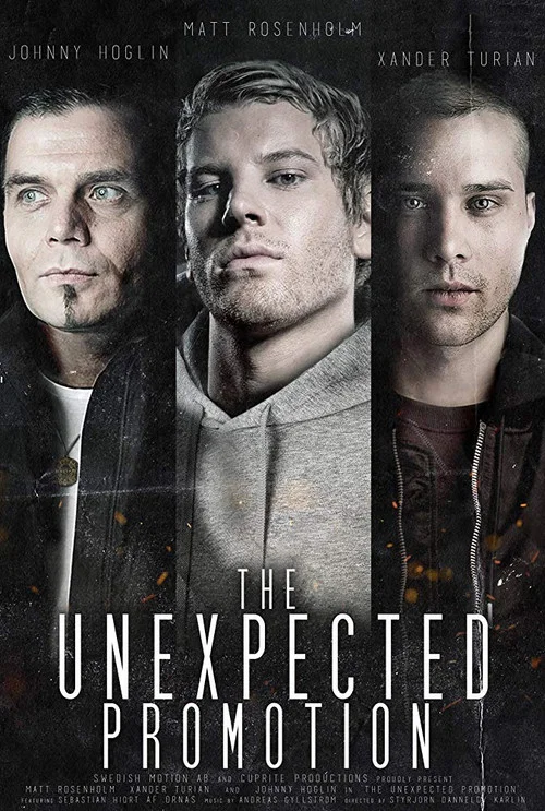 The Unexpected Promotion постер