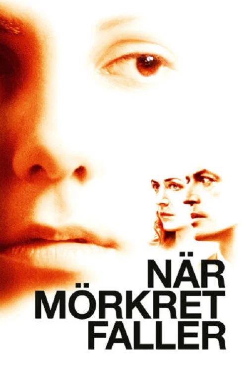 När mörkret faller постер