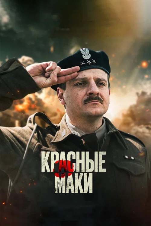 Красные маки постер