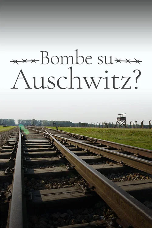 Bombe su Auschwitz? постер