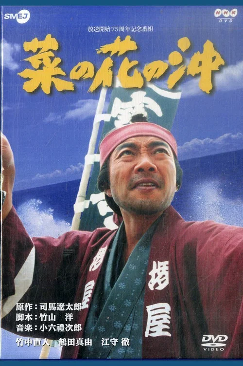 菜の花の沖 постер