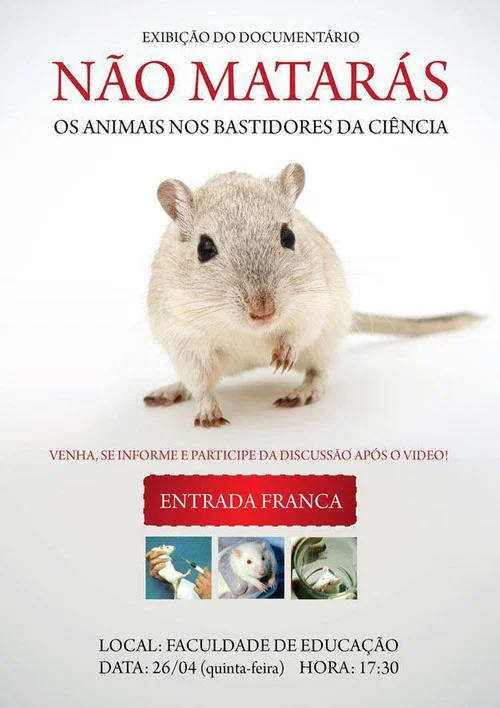 Não Matarás постер