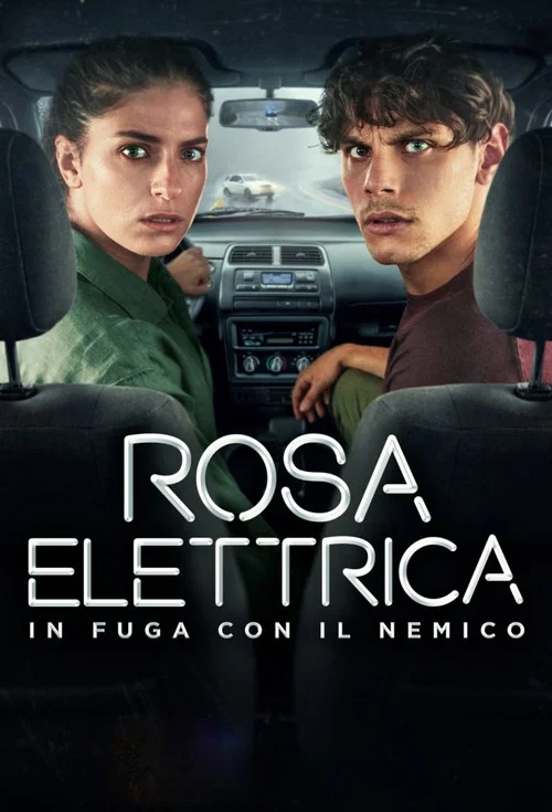 Rosa Elettrica - In fuga con il nemico постер