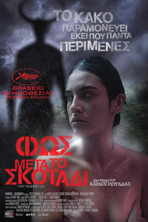 После мрака свет постер
