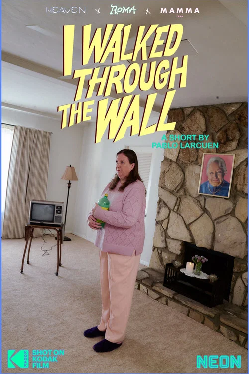 I Walked Through the Wall постер