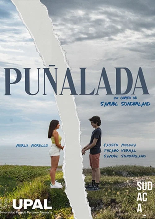 Puñalada постер