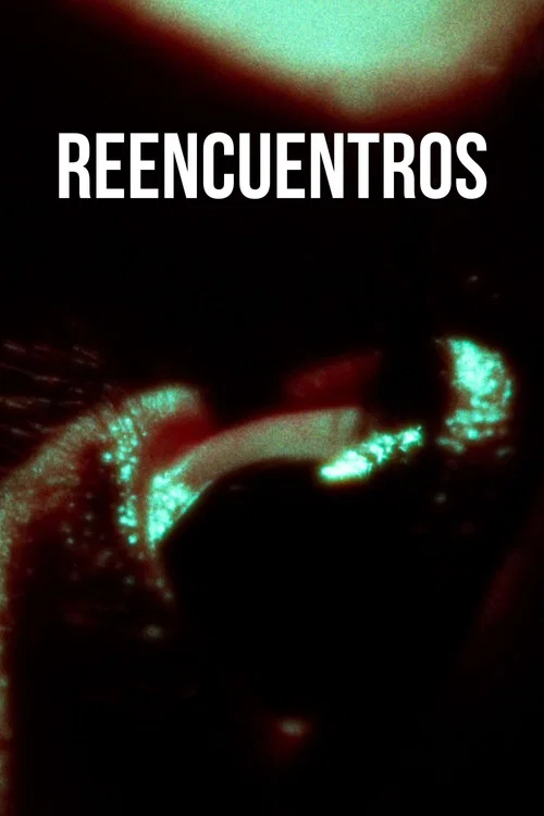 Reencuentros постер