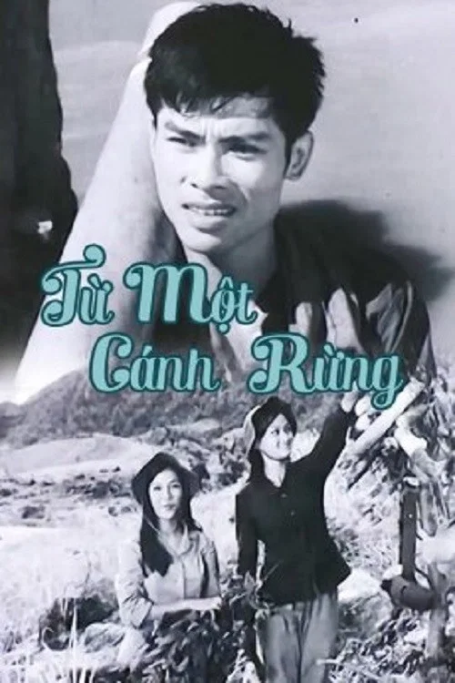 Từ Một Cánh Rừng постер