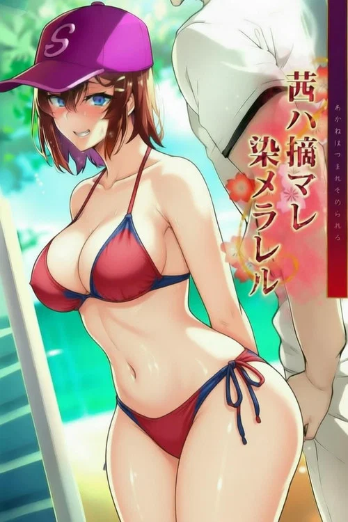 四季の花シリーズ постер