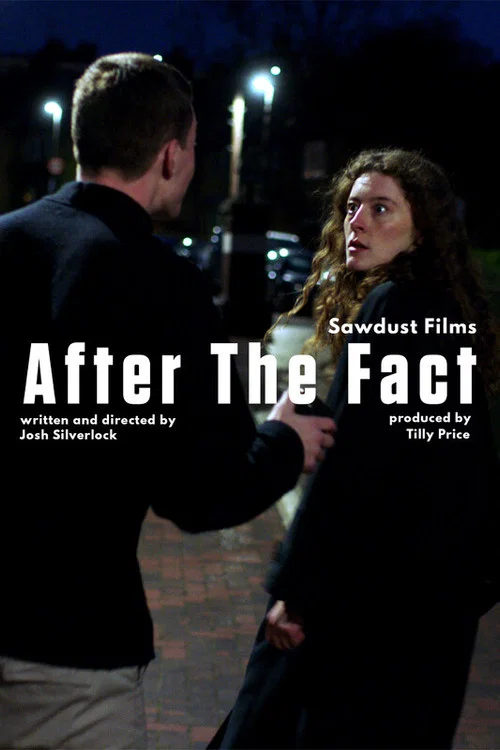 After the Fact постер