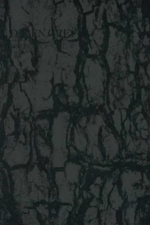 Dir En Grey - Tour 14 Psychonnect - Mode Of "Gauze"? постер