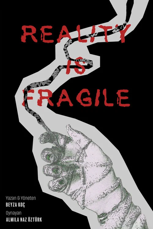 Reality Is Fragile постер
