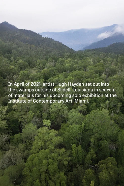 Hugh Hayden: Skeletons in the Swamp постер