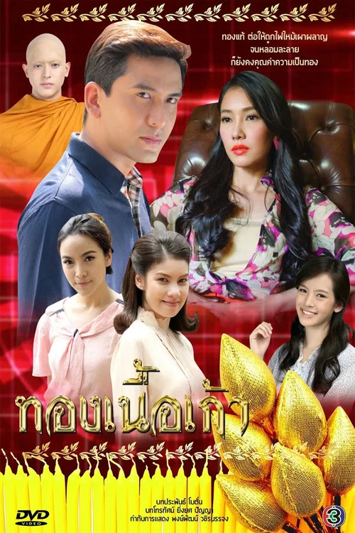 ทองเนื้อเก้า постер