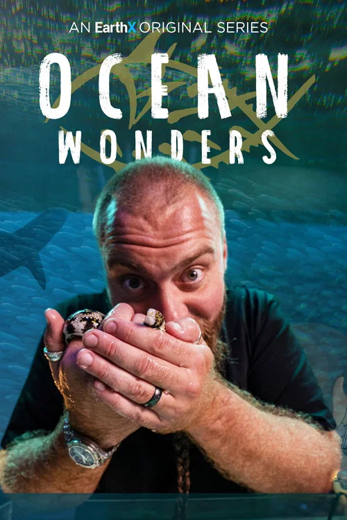 Ocean Wonders постер