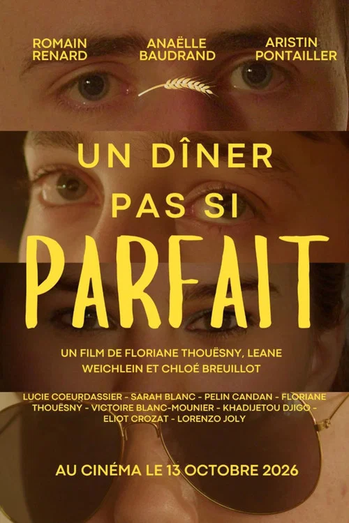 Un dîner pas si parfait постер