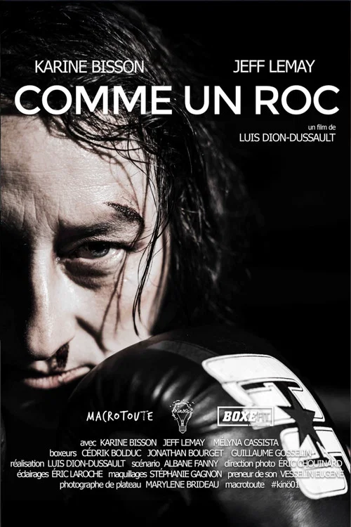 Comme un roc постер