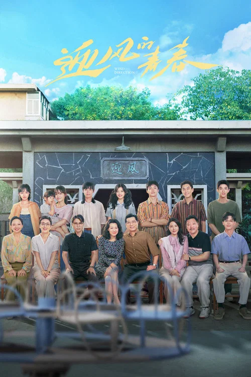 迎风的青春 постер