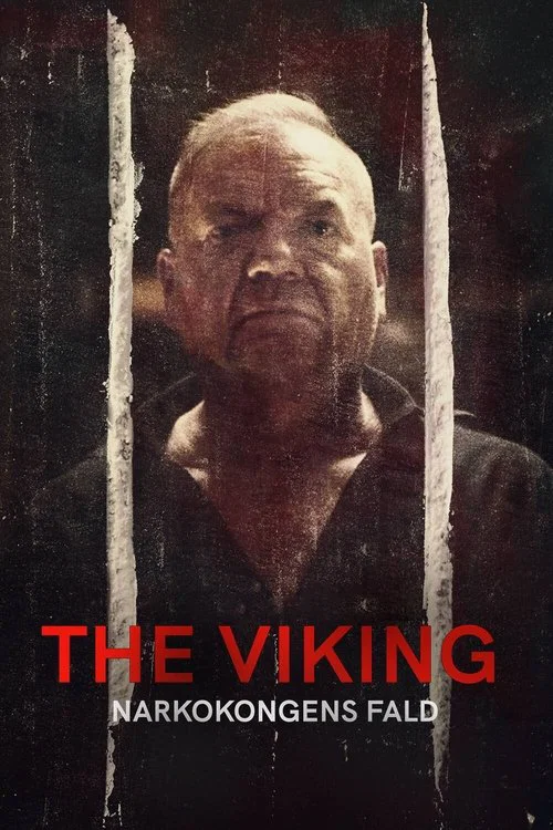 The Viking - Narkokongens Fald постер